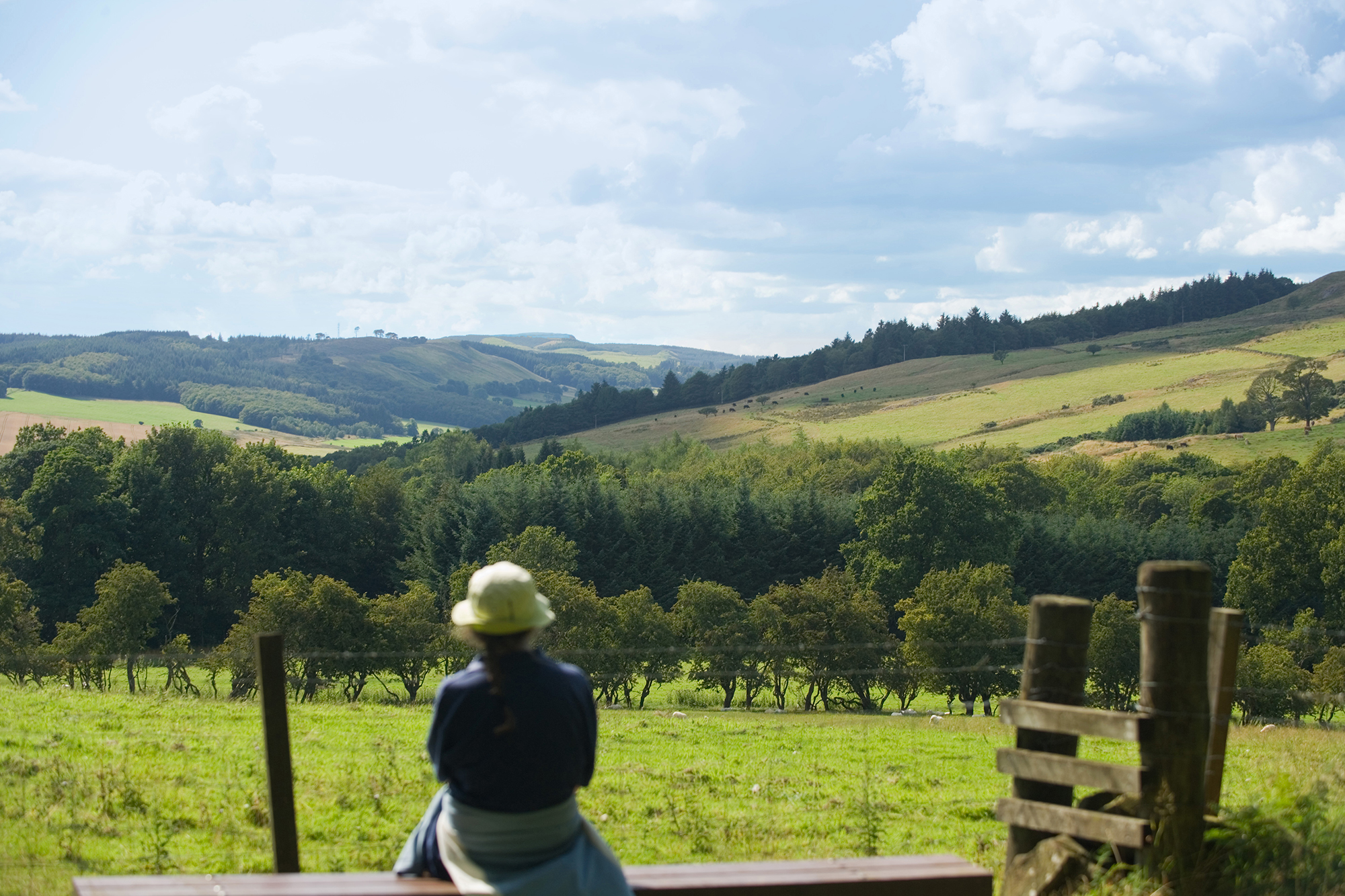 woman sitting looking towards view of hills and trees
