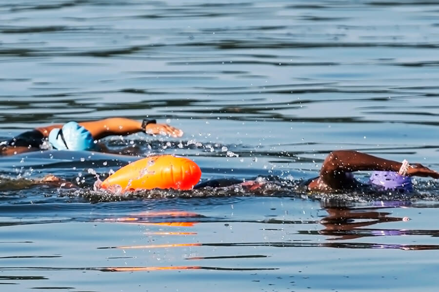two open water swimmers